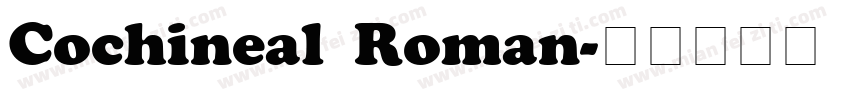 Cochineal Roman字体转换